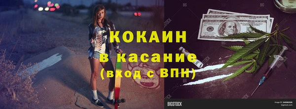 мет Алексин