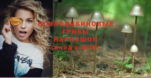 кокс Абдулино
