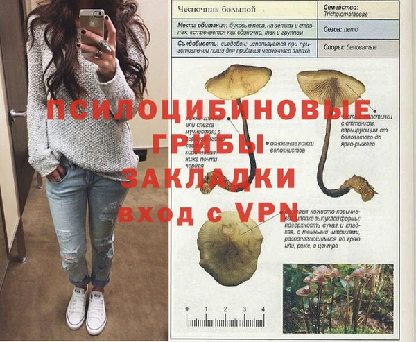 кокс Абдулино